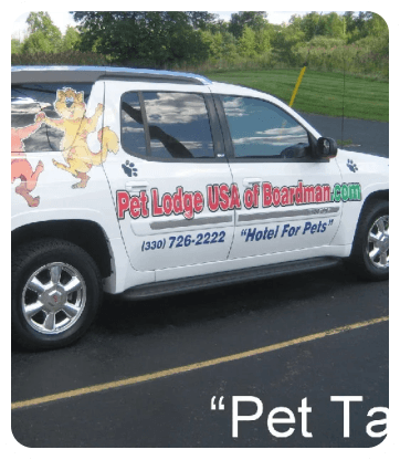 Pet Taxi